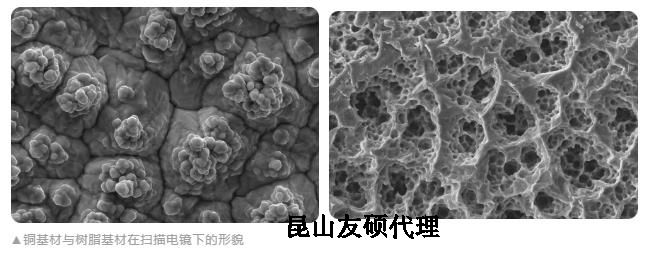 三亚蔡司三亚扫描电镜